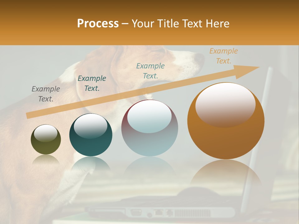 A Dog Sitting In Front Of A Laptop Computer PowerPoint Template