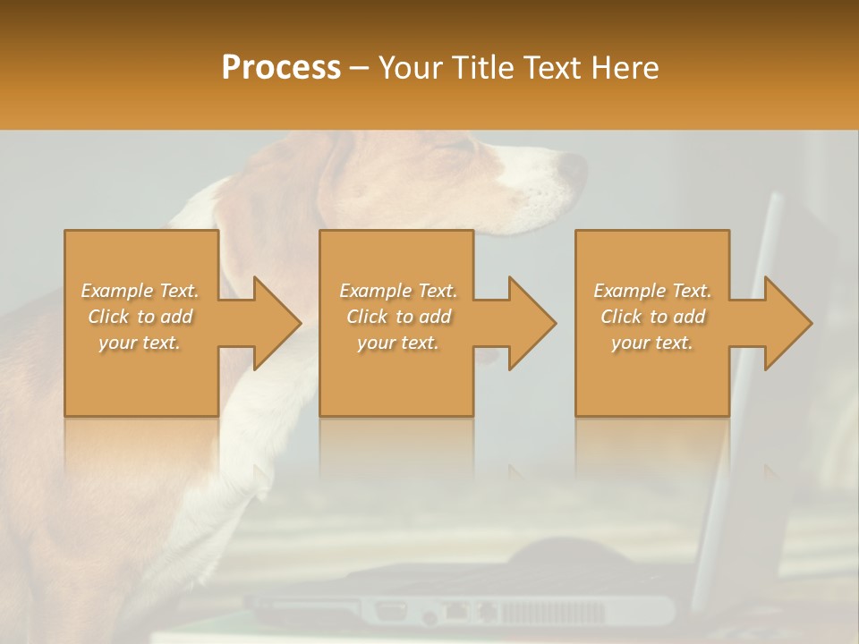 A Dog Sitting In Front Of A Laptop Computer PowerPoint Template