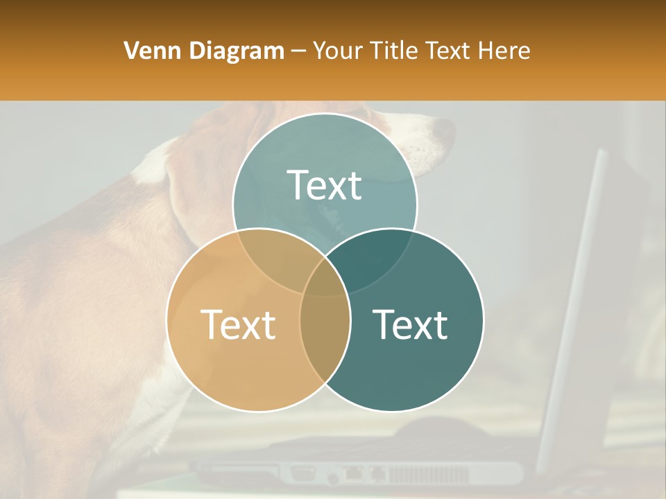 A Dog Sitting In Front Of A Laptop Computer PowerPoint Template