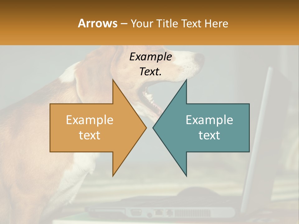 A Dog Sitting In Front Of A Laptop Computer PowerPoint Template