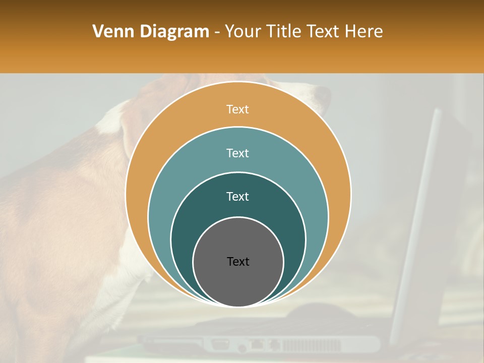 A Dog Sitting In Front Of A Laptop Computer PowerPoint Template