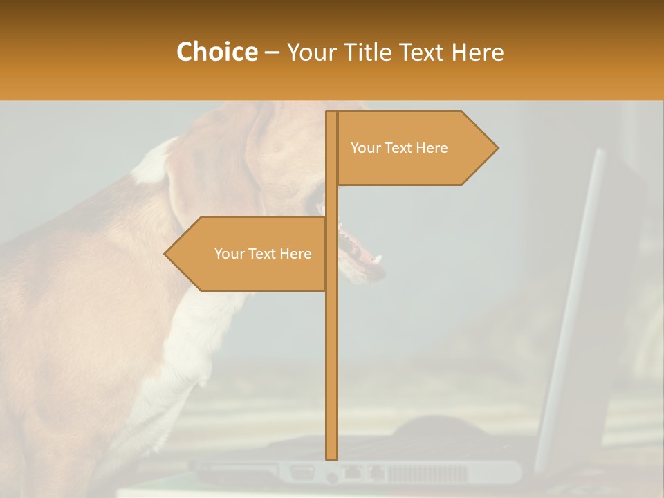 A Dog Sitting In Front Of A Laptop Computer PowerPoint Template