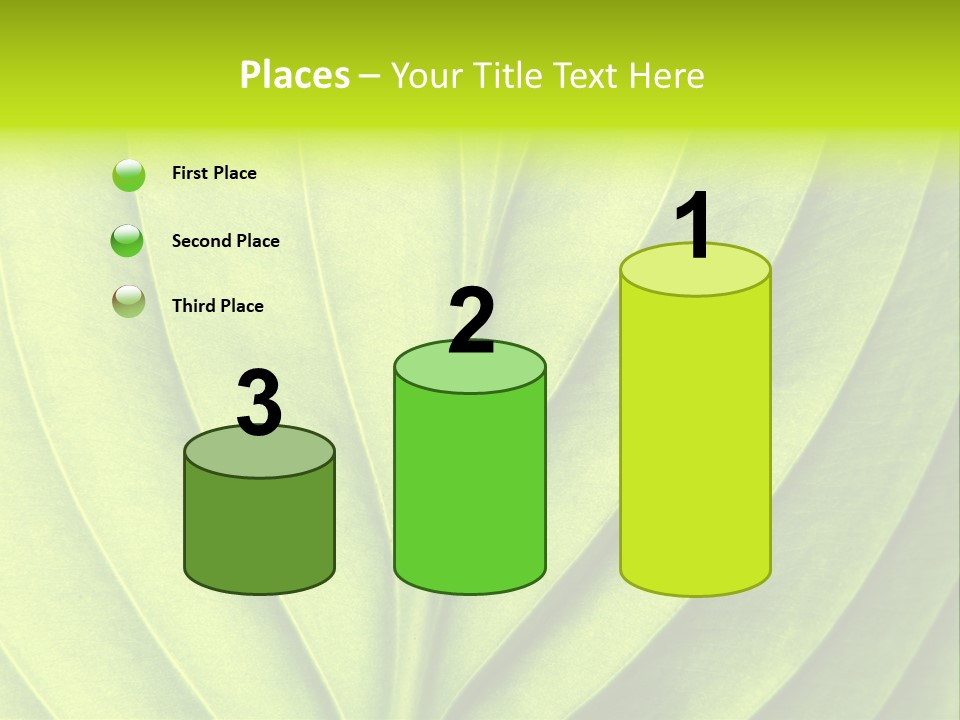 A Green Leaf Powerpoint Presentation PowerPoint Template