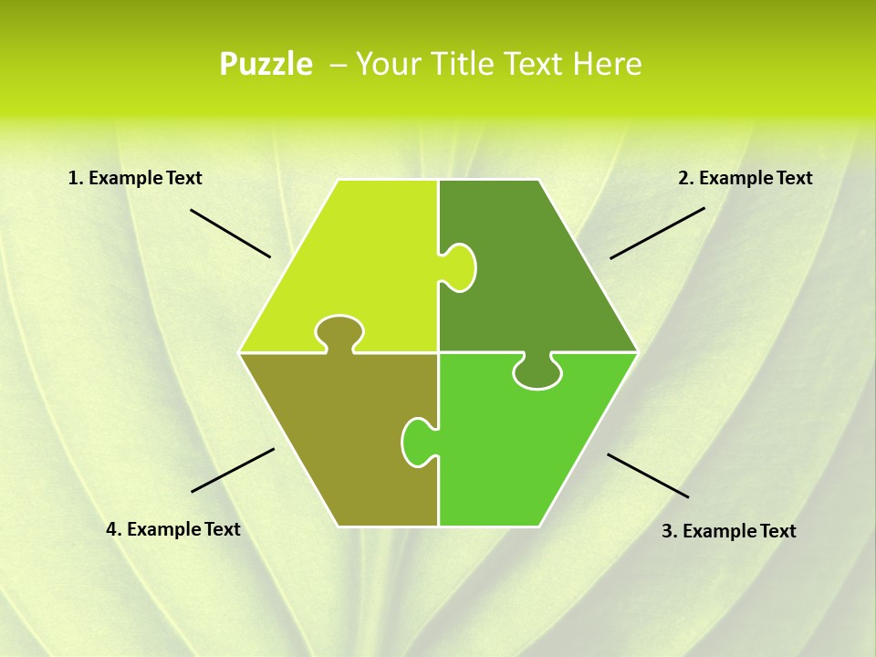 A Green Leaf Powerpoint Presentation PowerPoint Template