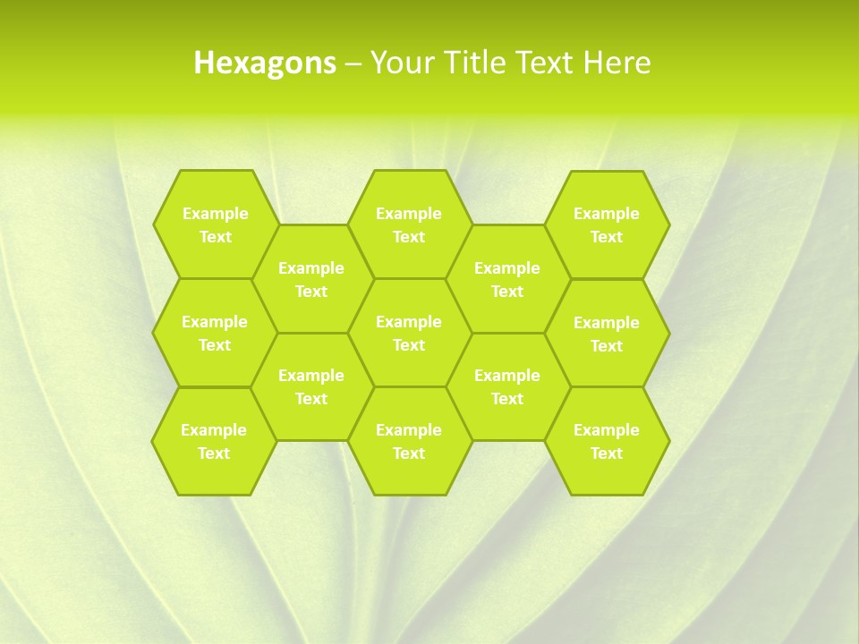 A Green Leaf Powerpoint Presentation PowerPoint Template