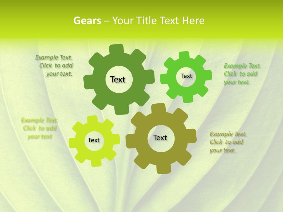 A Green Leaf Powerpoint Presentation PowerPoint Template