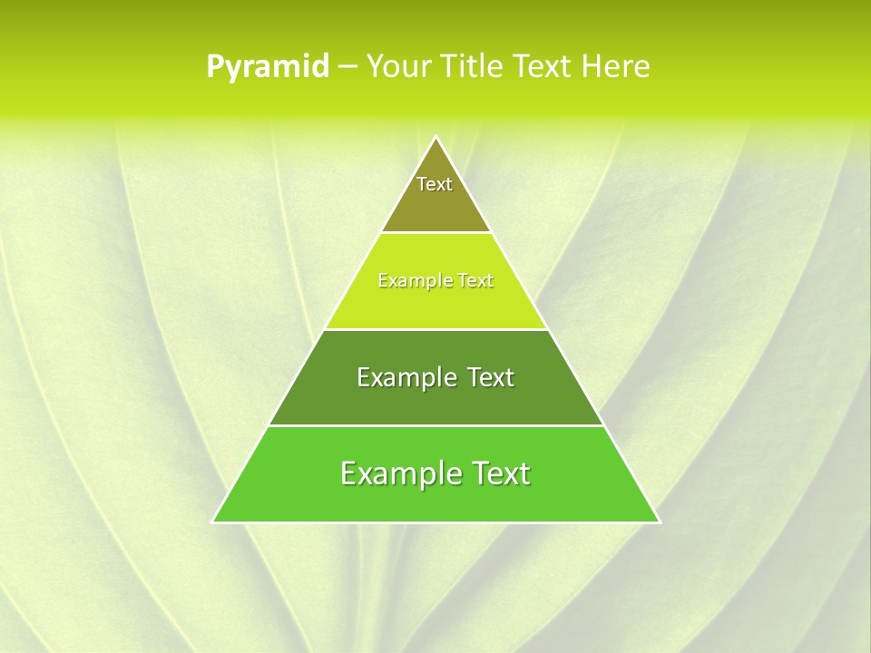 A Green Leaf Powerpoint Presentation PowerPoint Template