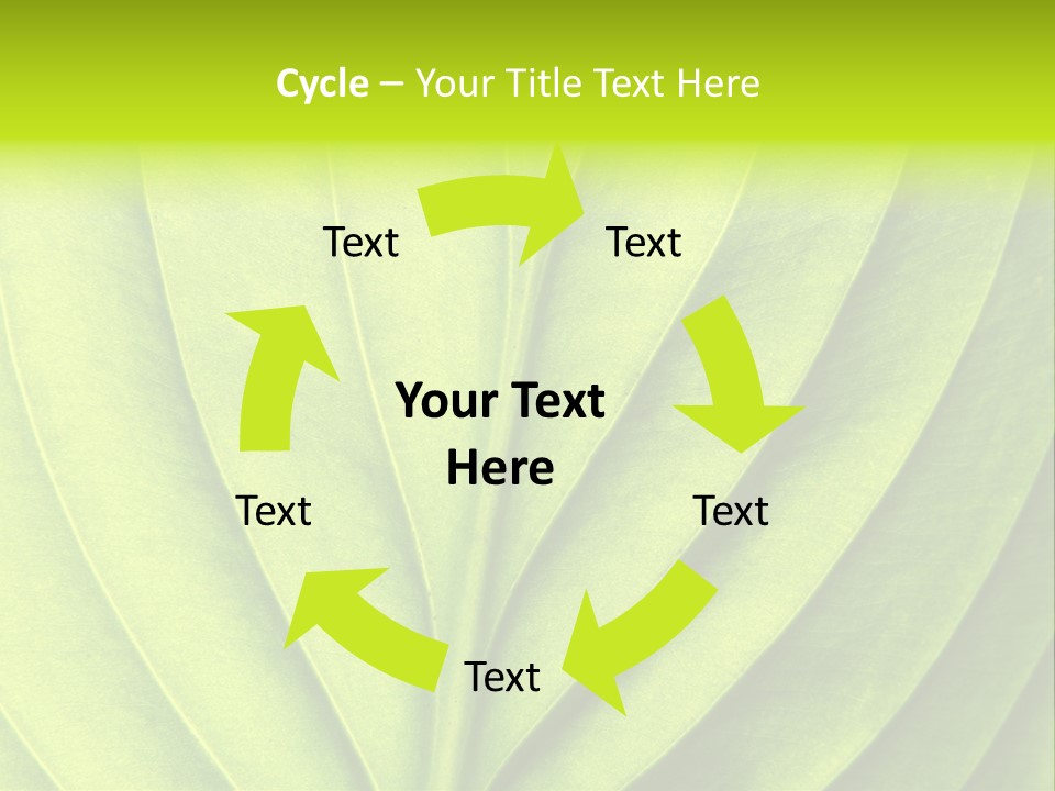 A Green Leaf Powerpoint Presentation PowerPoint Template