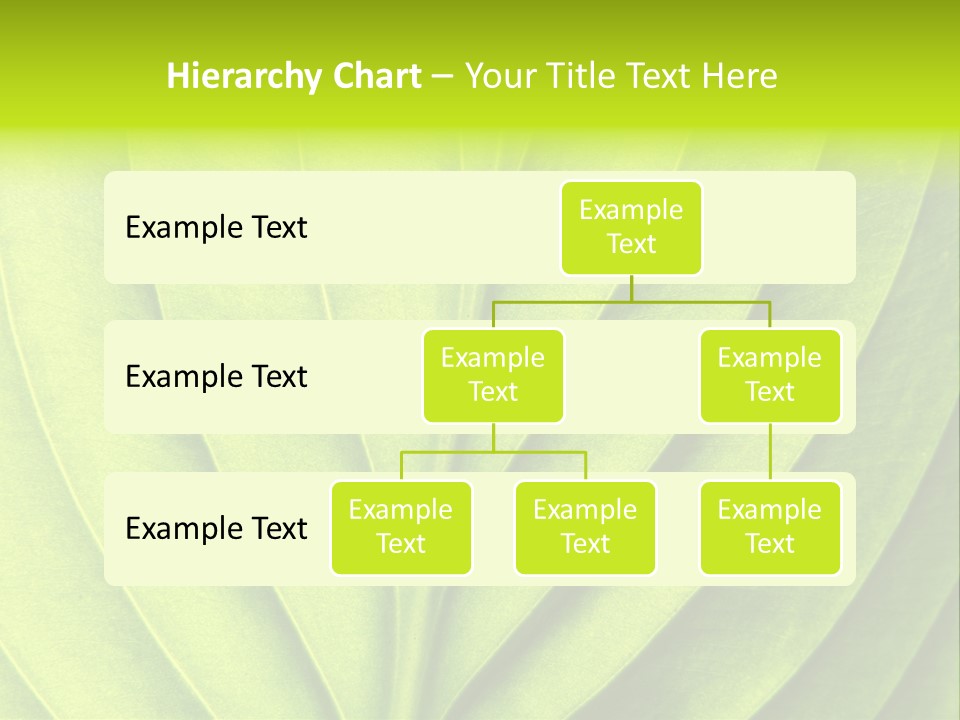 A Green Leaf Powerpoint Presentation PowerPoint Template