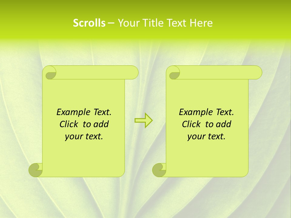A Green Leaf Powerpoint Presentation PowerPoint Template