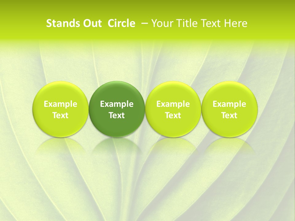 A Green Leaf Powerpoint Presentation PowerPoint Template