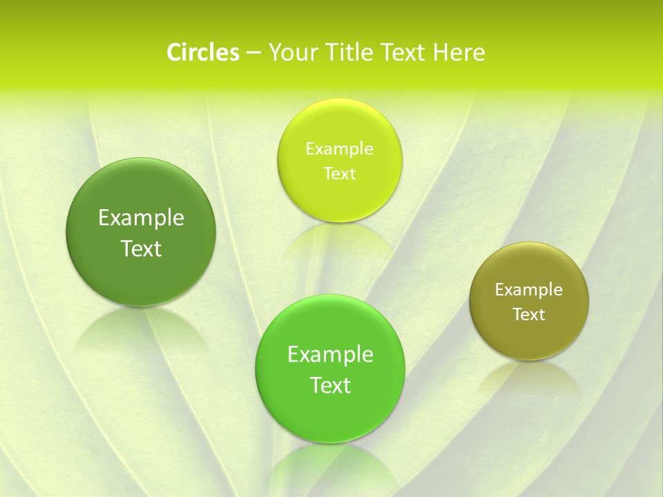 A Green Leaf Powerpoint Presentation PowerPoint Template