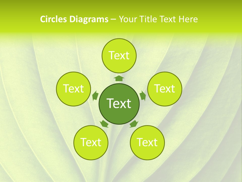 A Green Leaf Powerpoint Presentation PowerPoint Template