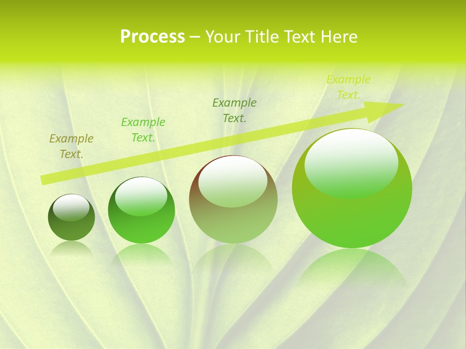 A Green Leaf Powerpoint Presentation PowerPoint Template