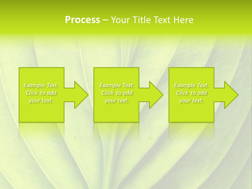 A Green Leaf Powerpoint Presentation PowerPoint Template