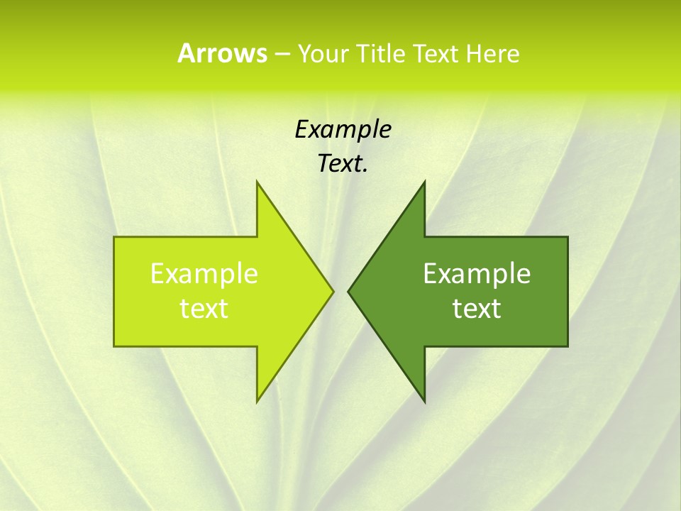 A Green Leaf Powerpoint Presentation PowerPoint Template