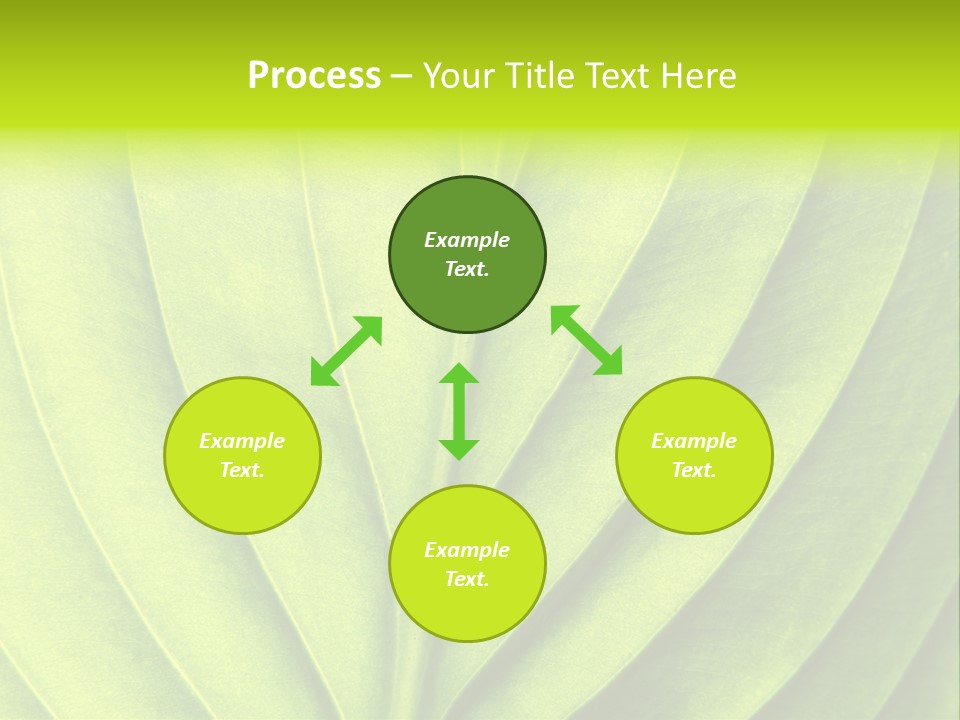 A Green Leaf Powerpoint Presentation PowerPoint Template