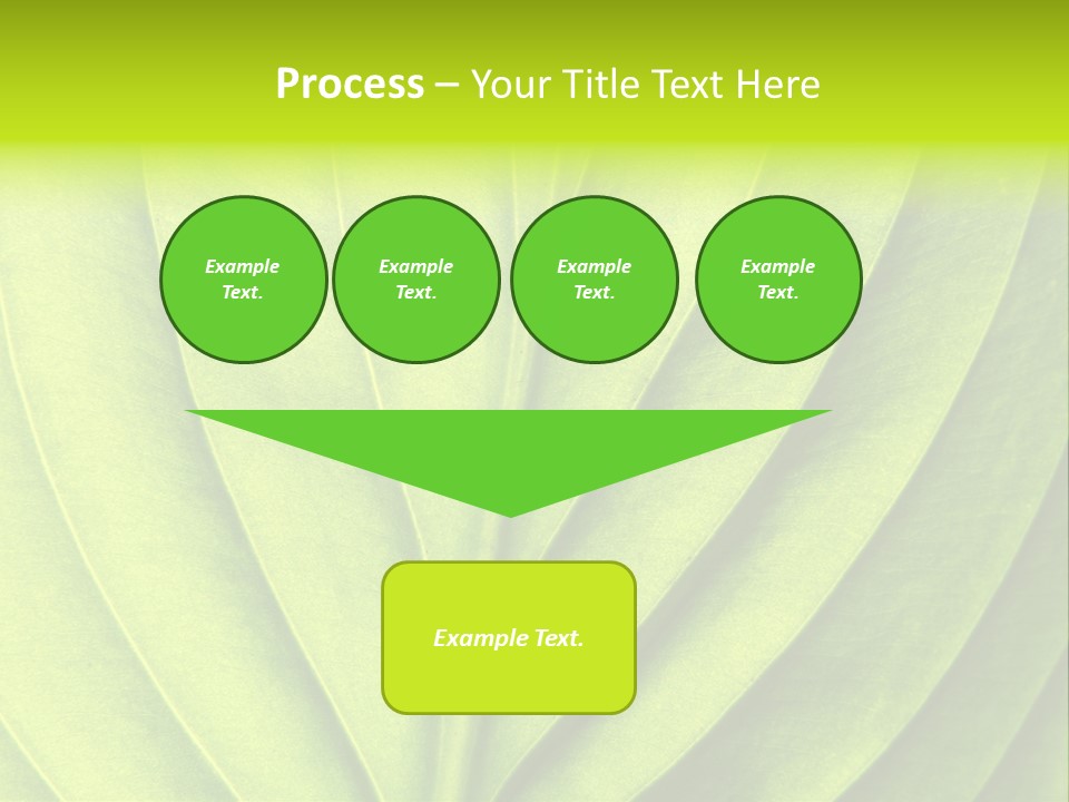 A Green Leaf Powerpoint Presentation PowerPoint Template