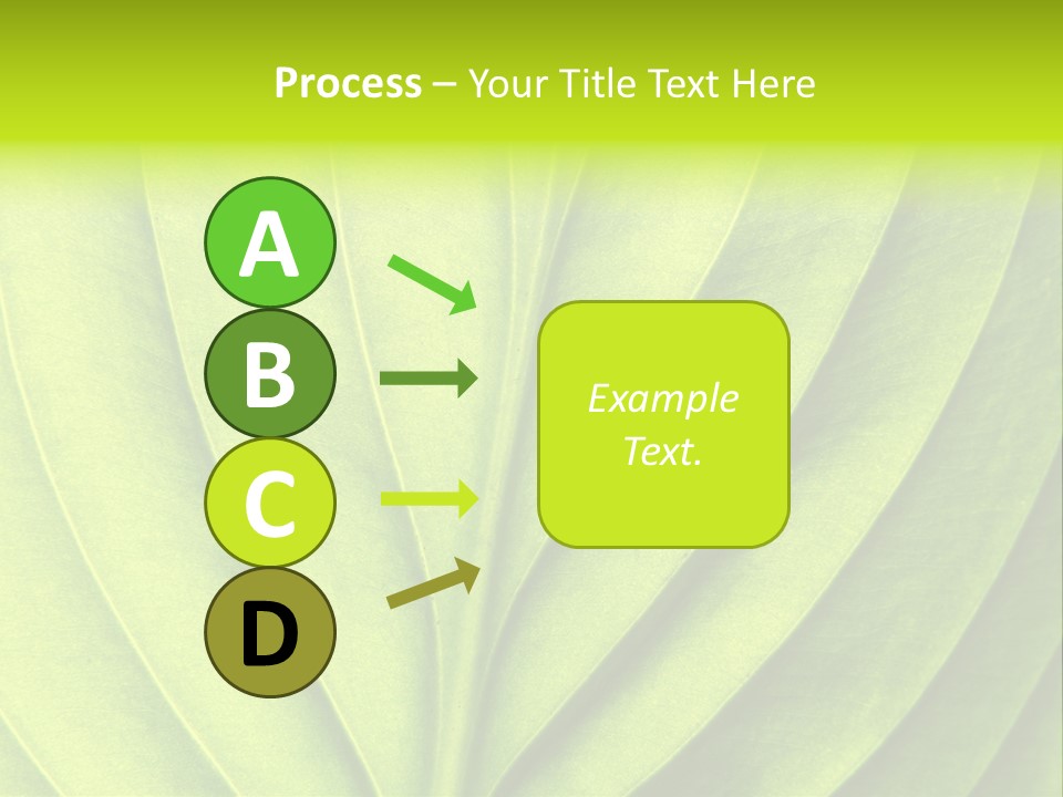 A Green Leaf Powerpoint Presentation PowerPoint Template