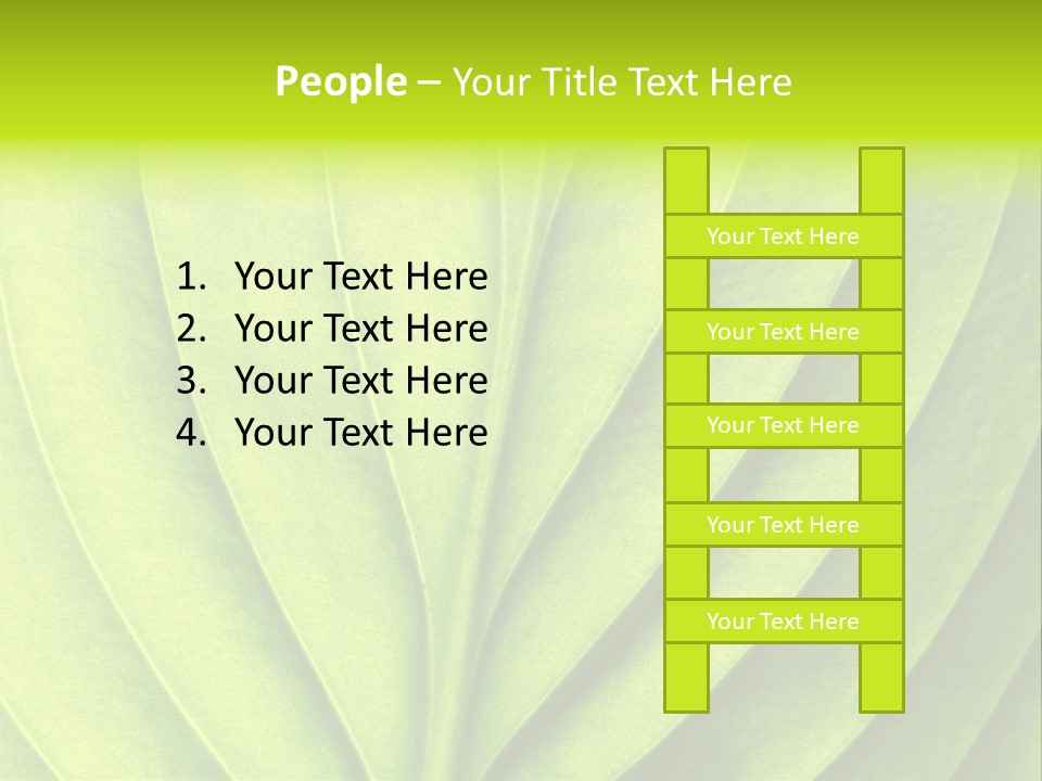 A Green Leaf Powerpoint Presentation PowerPoint Template