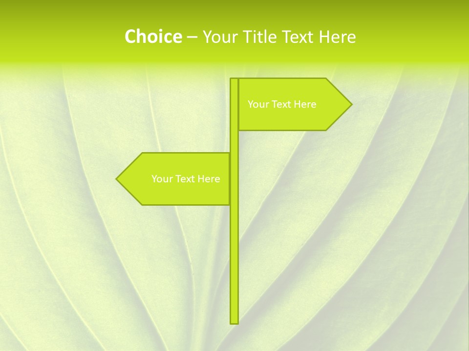 A Green Leaf Powerpoint Presentation PowerPoint Template