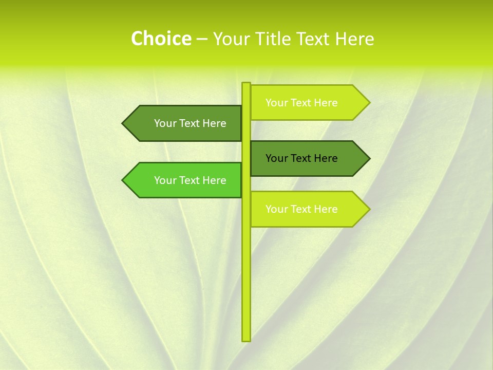 A Green Leaf Powerpoint Presentation PowerPoint Template