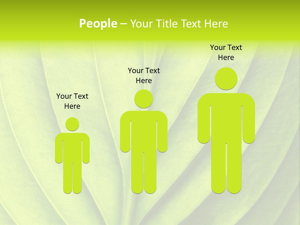 A Green Leaf Powerpoint Presentation PowerPoint Template