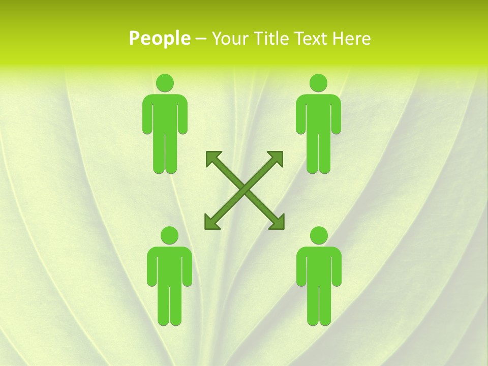 A Green Leaf Powerpoint Presentation PowerPoint Template