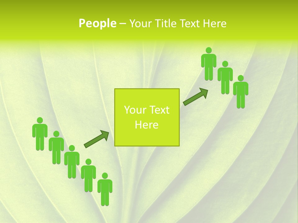 A Green Leaf Powerpoint Presentation PowerPoint Template