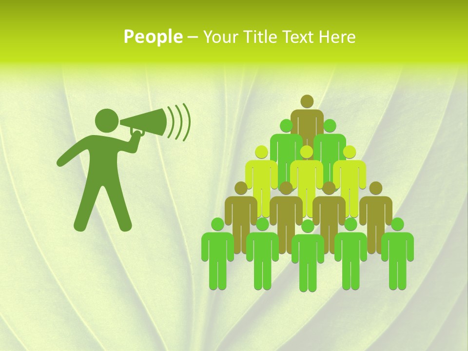 A Green Leaf Powerpoint Presentation PowerPoint Template