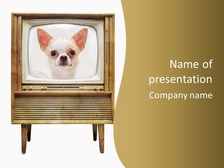 A Small Dog Sitting On Top Of An Old Tv PowerPoint Template