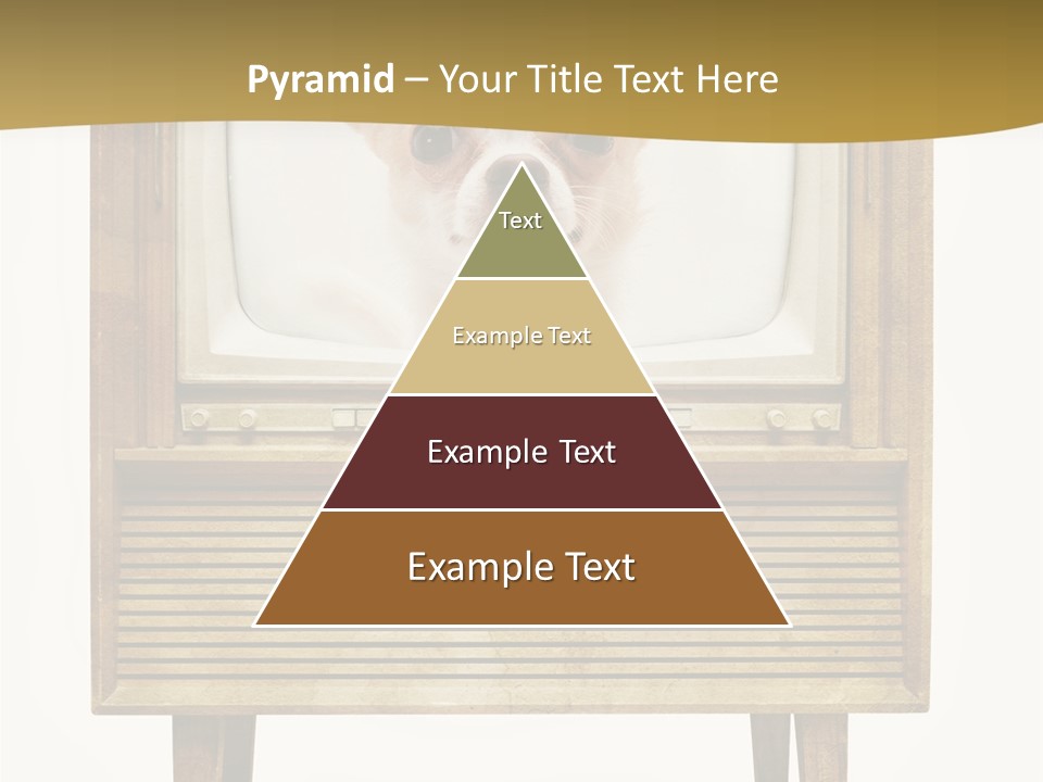 A Small Dog Sitting On Top Of An Old Tv PowerPoint Template