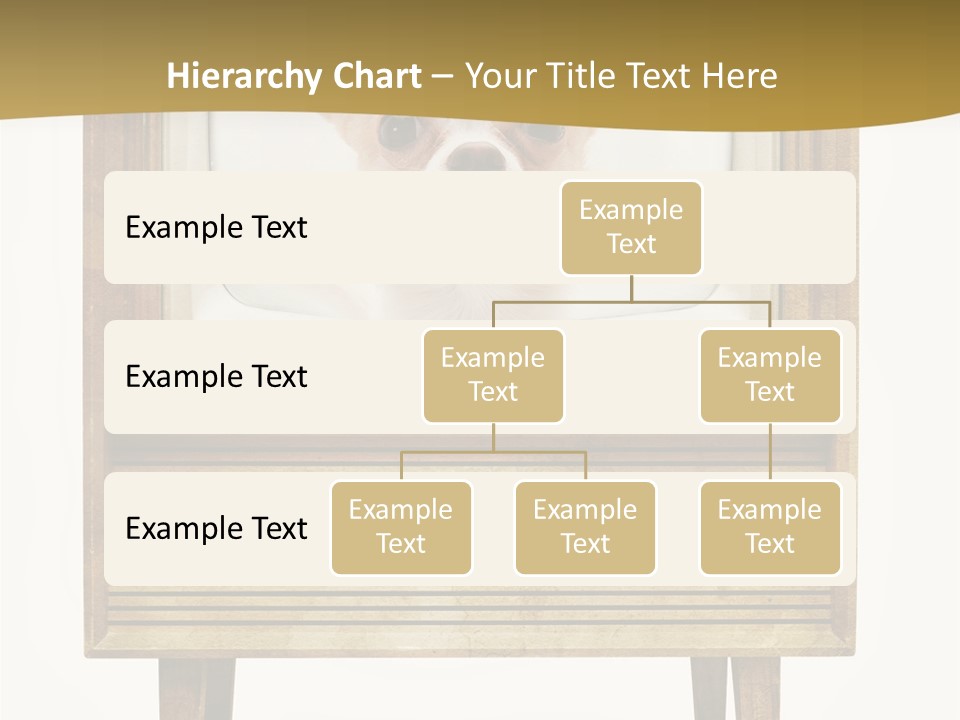 A Small Dog Sitting On Top Of An Old Tv PowerPoint Template