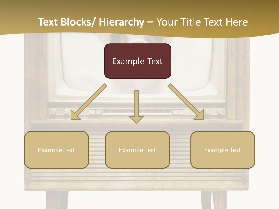 A Small Dog Sitting On Top Of An Old Tv PowerPoint Template