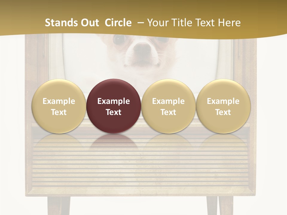 A Small Dog Sitting On Top Of An Old Tv PowerPoint Template