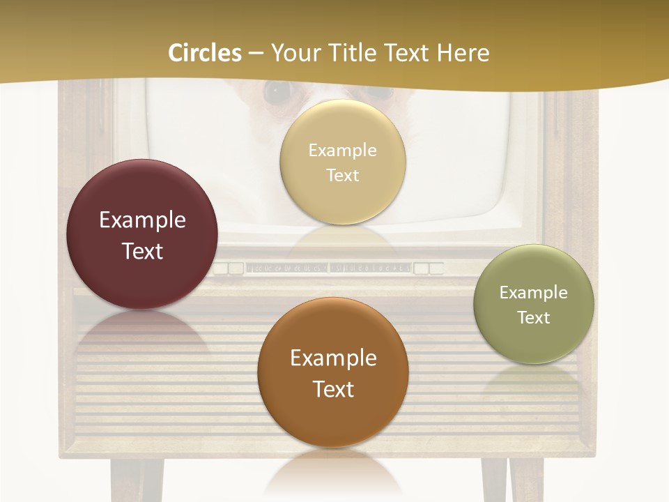 A Small Dog Sitting On Top Of An Old Tv PowerPoint Template