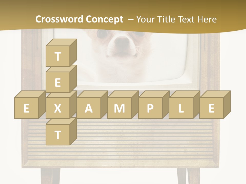 A Small Dog Sitting On Top Of An Old Tv PowerPoint Template