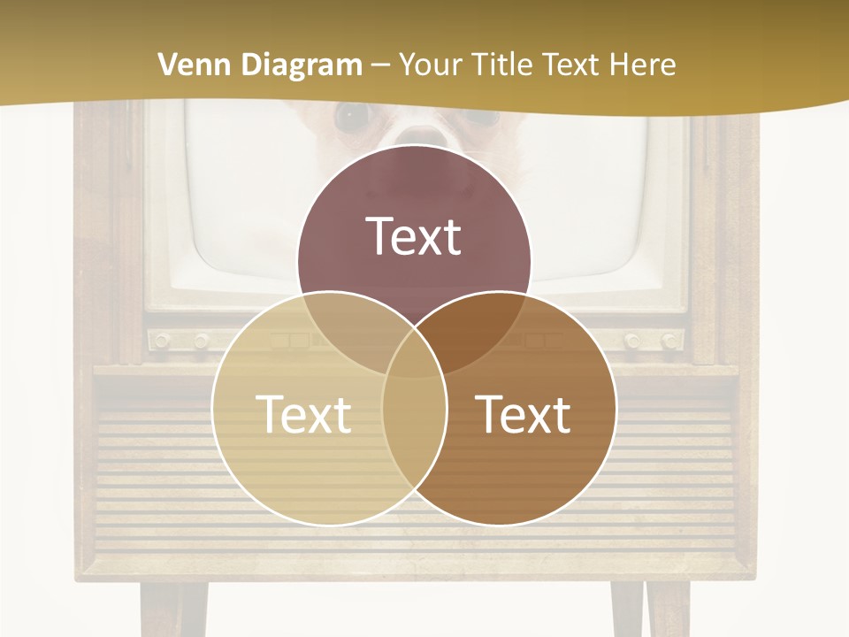 A Small Dog Sitting On Top Of An Old Tv PowerPoint Template