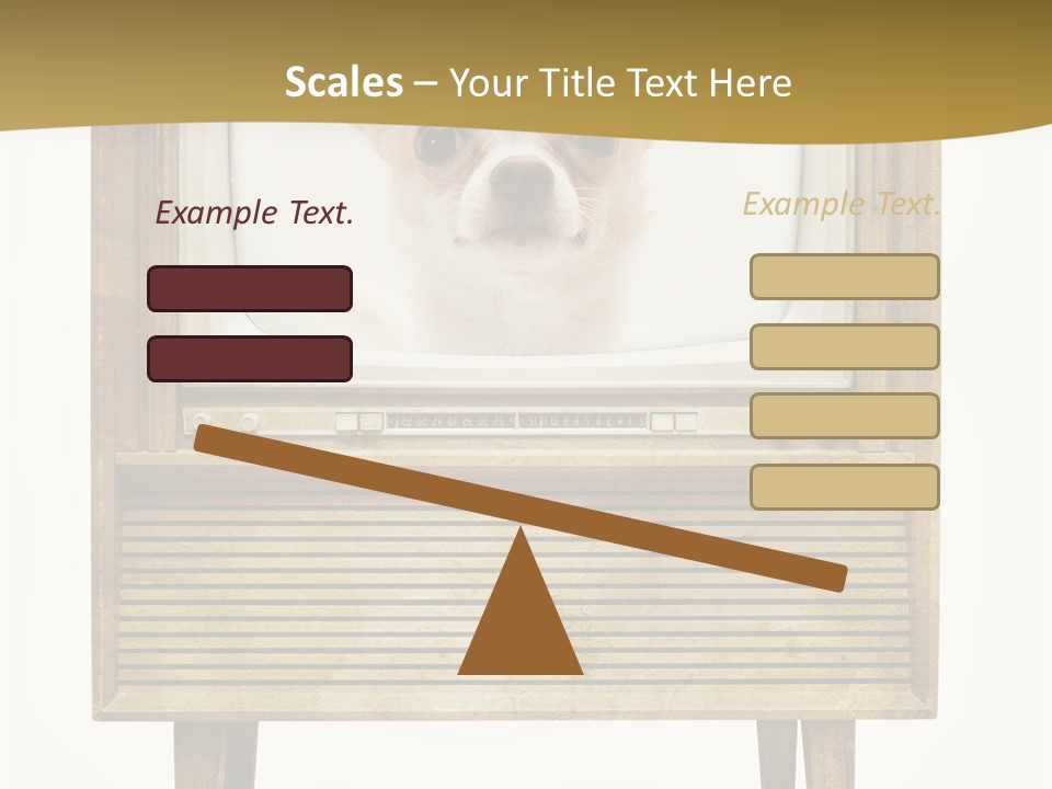 A Small Dog Sitting On Top Of An Old Tv PowerPoint Template