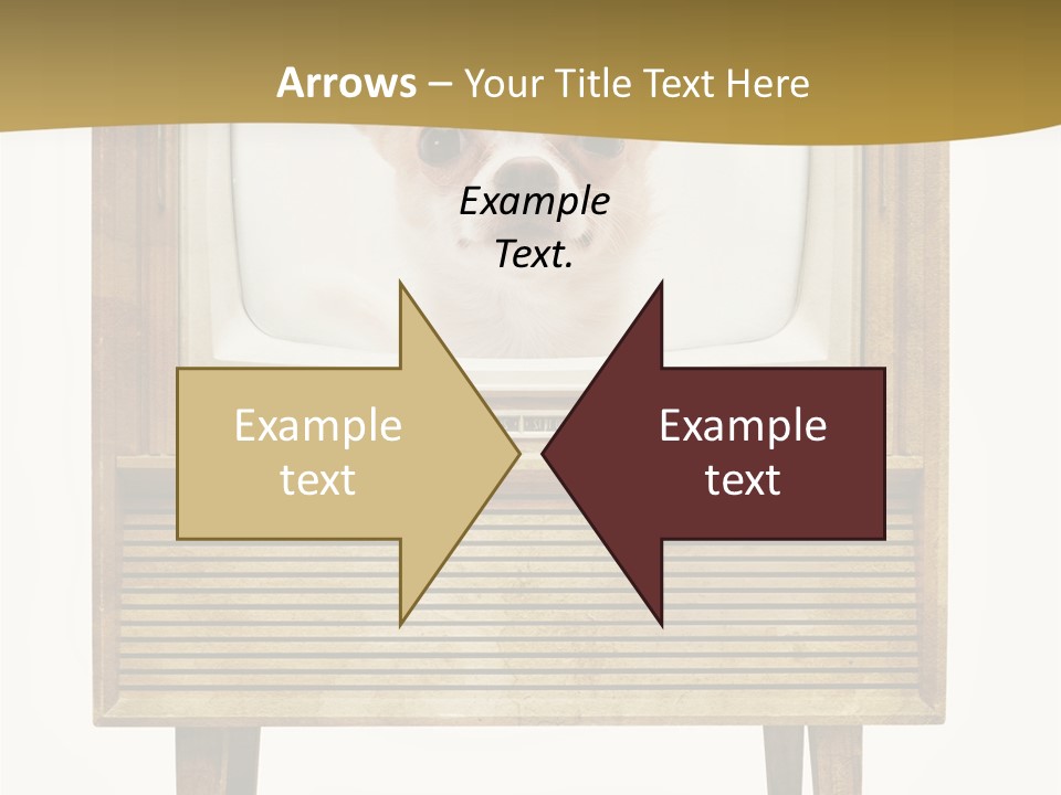 A Small Dog Sitting On Top Of An Old Tv PowerPoint Template