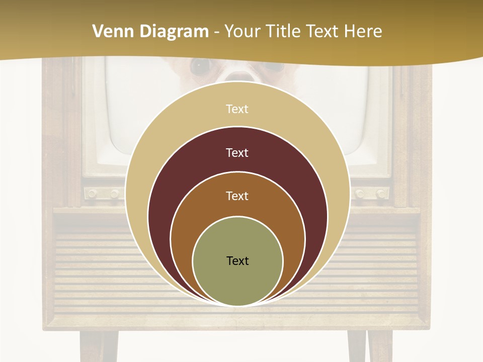 A Small Dog Sitting On Top Of An Old Tv PowerPoint Template
