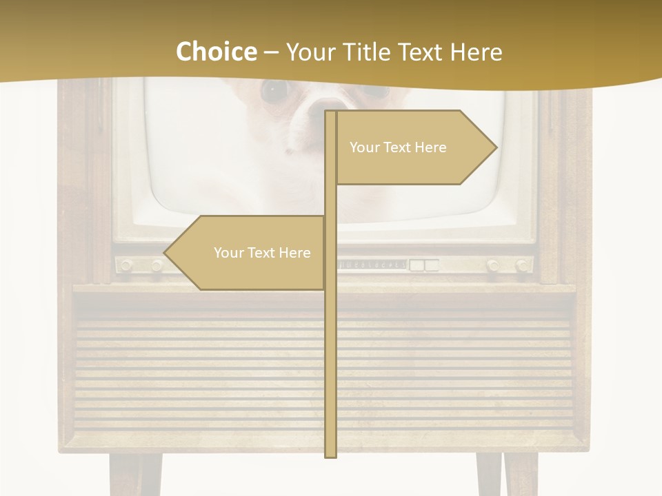 A Small Dog Sitting On Top Of An Old Tv PowerPoint Template