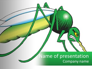 A Picture Of A Green Insect On A White Background PowerPoint Template