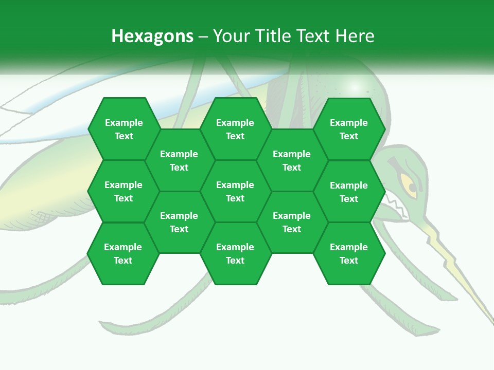 A Picture Of A Green Insect On A White Background PowerPoint Template