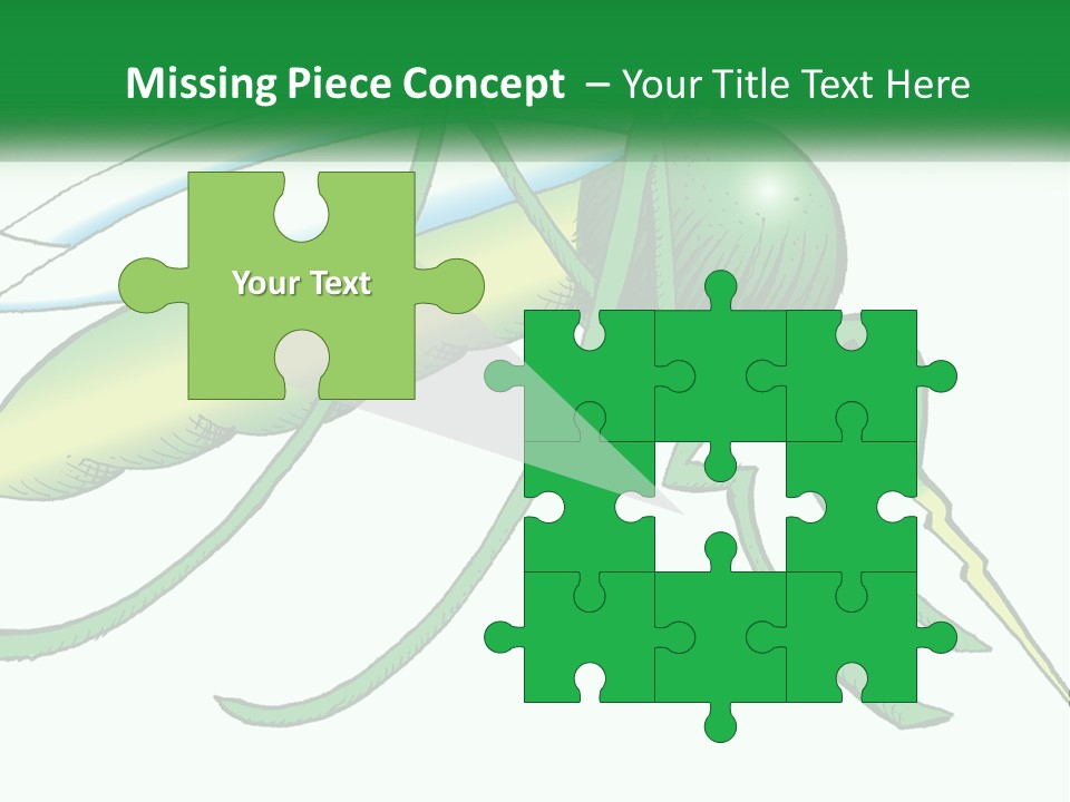 A Picture Of A Green Insect On A White Background PowerPoint Template