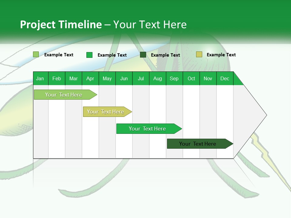 A Picture Of A Green Insect On A White Background PowerPoint Template