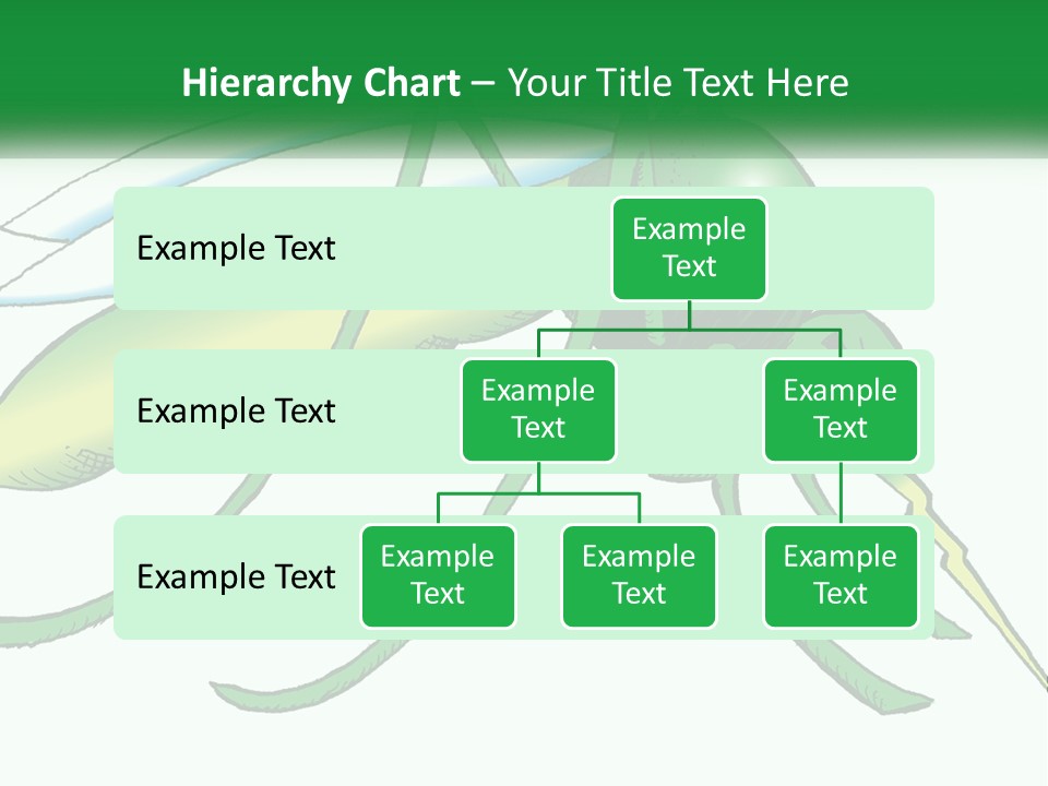 A Picture Of A Green Insect On A White Background PowerPoint Template