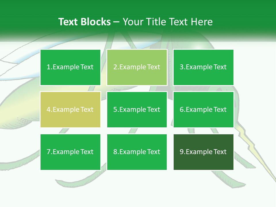 A Picture Of A Green Insect On A White Background PowerPoint Template