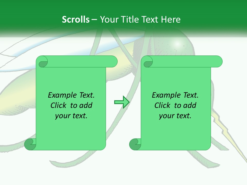 A Picture Of A Green Insect On A White Background PowerPoint Template