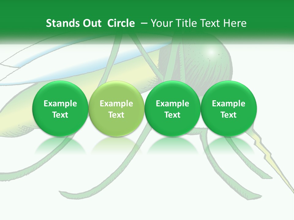 A Picture Of A Green Insect On A White Background PowerPoint Template